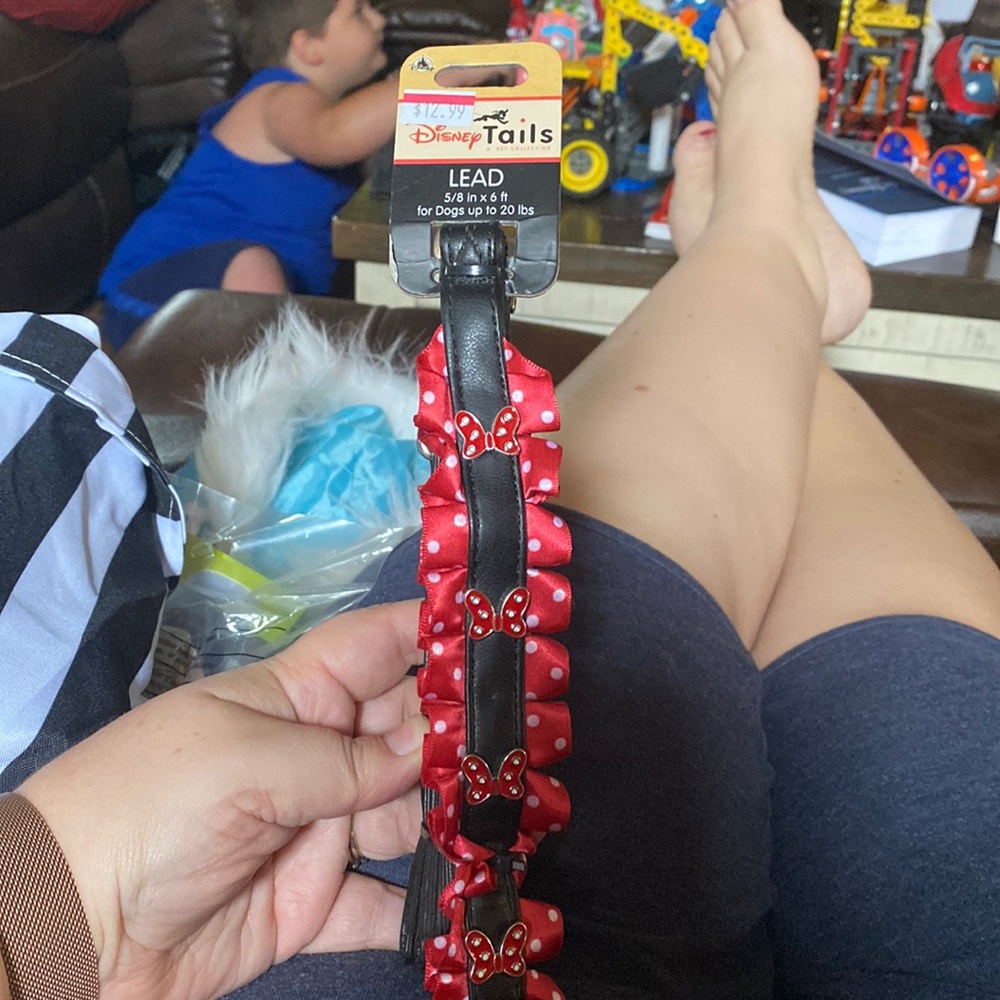 Brand new with tags Minnie leash